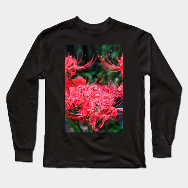 Red Spider Lily Long Sleeve T-Shirt by RLan